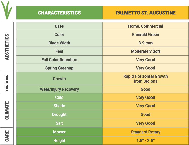 palmetto chart