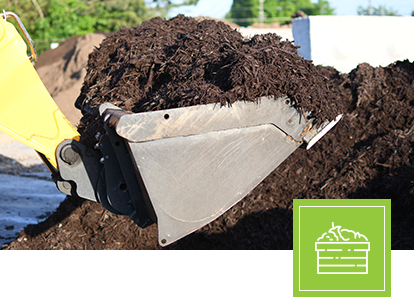 Compost