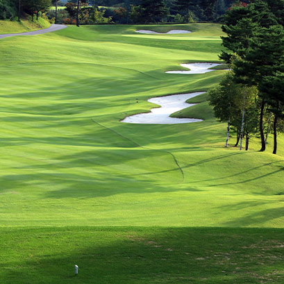 Emerald Zoysia - Sodmasters Landscape Center