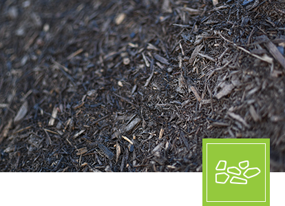 mulch
