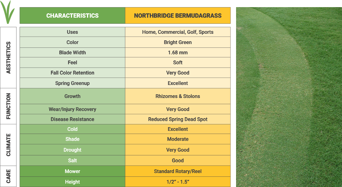 northbridge chart